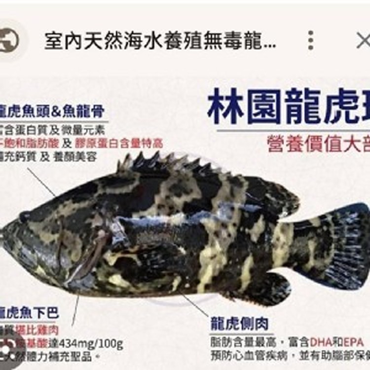 林園龍虎斑 規格：約600g，真空包裝