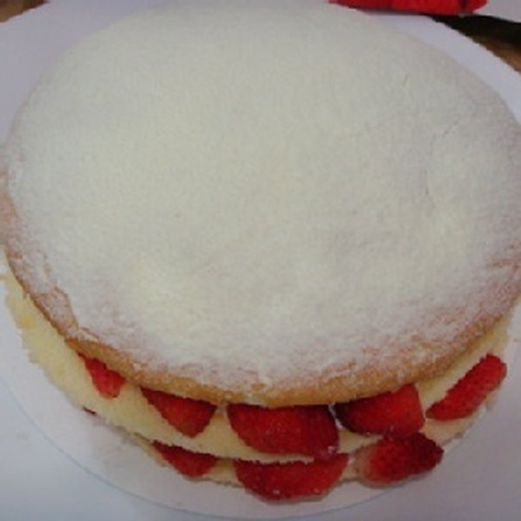 【佳樂】6吋─波士頓(草莓)