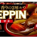 ZEPPIN絕品夾心咖哩塊