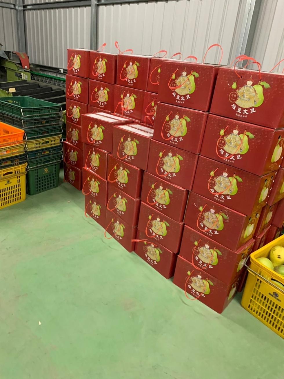 艺文化，侯豆文旦，侯豆文旦，保豆文生。