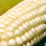 爆汁牛奶水果玉米