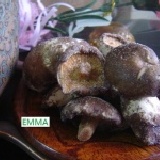 【香菇酥】《易買健康堅果零嘴坊》滿1000免運費再送贈品~.超香超好吃 特價：$79