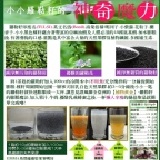 【羅勒籽】 每包600g裝~又名蘭香子.明列子讓您輕鬆享瘦!