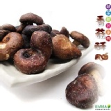 【香菇酥】 特價：$110