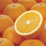 【在伯果園】台灣第一美白水果柳丁 特價：$400