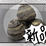 醬爆黑糖麻糬芝麻酥