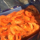 泰國限量超大熟白蝦1.15公斤一盒(滿5盒免運)