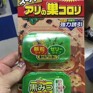 日本超紅螞蟻藥