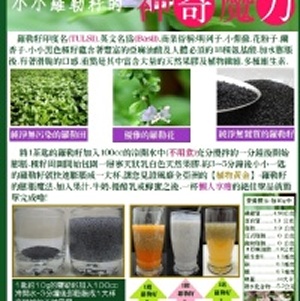 【羅勒籽】