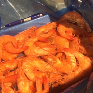 泰國限量超大熟白蝦1.15公斤一盒(滿5盒免運)