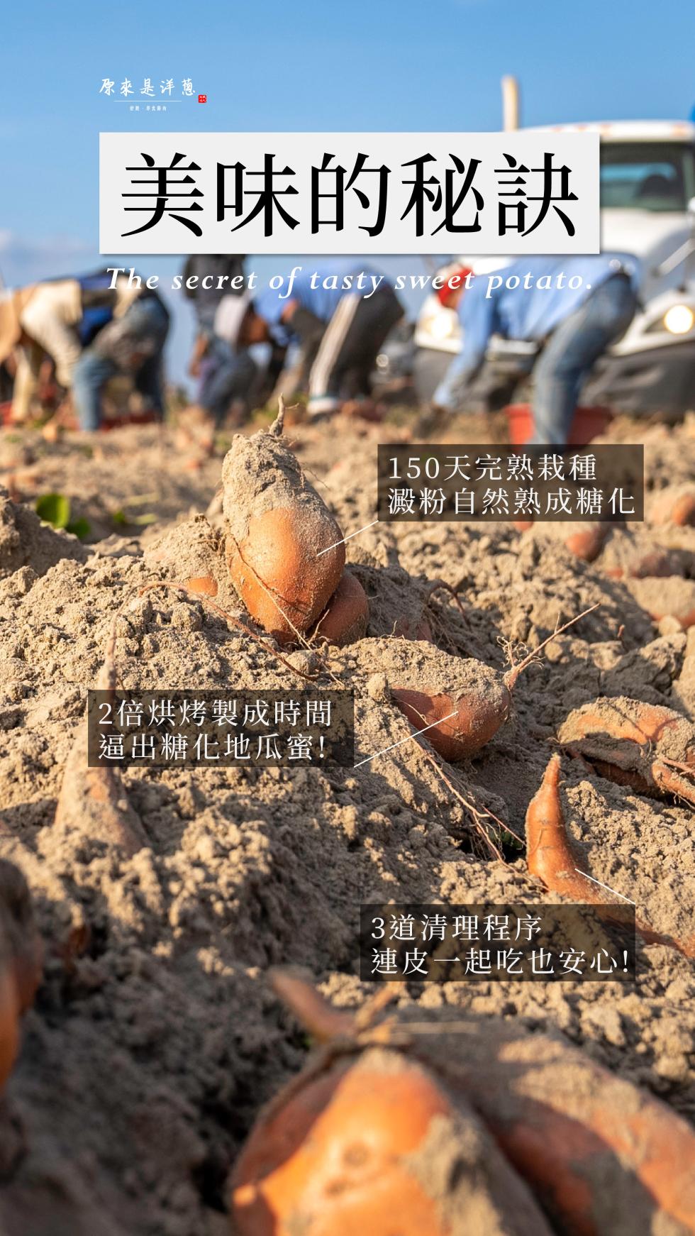 原來是洋蔥，美味的秘訣，2倍烘烤製成時間，逼出糖化地瓜蜜!150天完熟栽種，澱粉自然熟成糖化，3道清理程序，連皮一起吃也安心!。