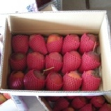 楓港王家愛文芒果園~~新鮮現採~在欉黃~ 15顆 (9~10台斤) /箱