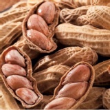 冰鎮落花生 立即食用(香醇濃)