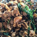 澎湖七美鮮煮海螺肉