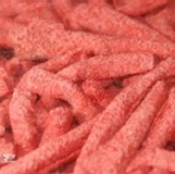 長型大豬公(長條豬) 特價：$100