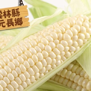 愛上新鮮 - 北海道白龍王水果玉米