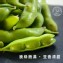 【禎祥食品】鹽味「香姬」茶豆莢300g