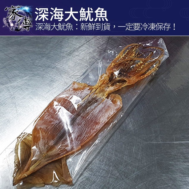 深海大魷魚,深海大魷魚:新鮮到貨,一定要冷凍東保存!。