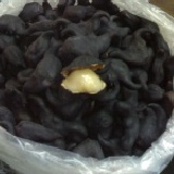 台灣菱角 大顆飽滿 500g 團友嚐鮮試吃價