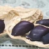 古法沙炒 鹽香黑金剛花生500g 團友嚐鮮價 五包免運費