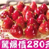 經典草莓之丘驚爆價!!!! 大家一致好評~二天狂賣1000多顆!!!!只賣一個星期!!慢了就沒有囉))) 特價：$280