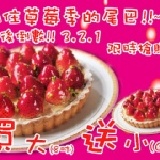 8吋經典草莓之丘買大送小下單區 下單時間只限一週1月6日24:00~1月15日24:00!!2月9日開始出貨~!!! 特價：$350
