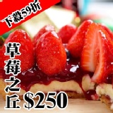 【法藍四季】草莓之丘(5吋)