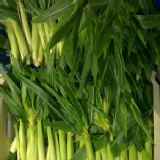 金蜜玉米筍1公斤