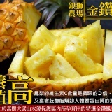 銀獅金鑽鳳梨一顆