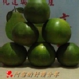 甜葡萄柚1袋(5斤)自取