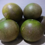 打果汁專用(外皮較醜)一袋六斤