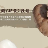 奶黃芋頭+蔓越莓起司饅頭