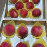 拉拉山水蜜桃(10顆裝)