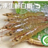 特大尾-活凍生鮮白蝦(約15-17尾/300g)