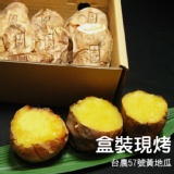 盒裝現烤地瓜
