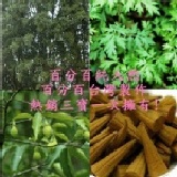 熱銷三寶~艾草塔、沉塔、梢楠塔 試用價 特價：$420