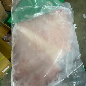 巨無霸深海魷魚翅