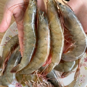 活凍大白蝦-30/40