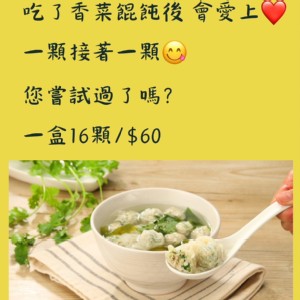 香菜餛飩-16顆