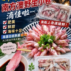 南方澳野生小卷
