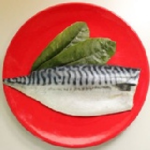 《江醫師魚舖子》頂級挪威鯖魚175g