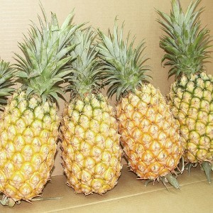 台鳳牌金鑽鳳梨 | [大合購] 台鳳牌鳳梨 ❖ 限3