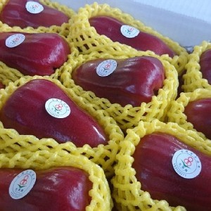 泰國紅寶石蓮霧 極品禮盒 (無裂果等級) |