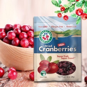 整顆蔓越莓乾(隨身包)