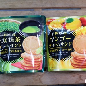 日本福岡八女抹茶法蘭酥4盒