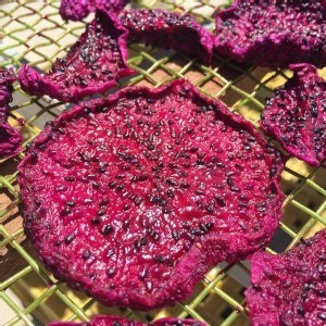 嚴選健康無糖紅龍果乾 100克