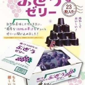 紫葡萄口味一盒23入(552g)