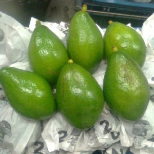 酪梨(黑金品種一顆顆