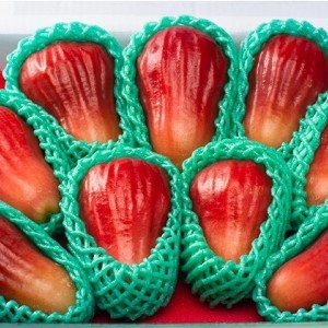 極品禮盒單盒8-12顆入(無裂果等級)