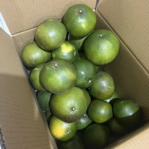 椪柑一袋(4斤)